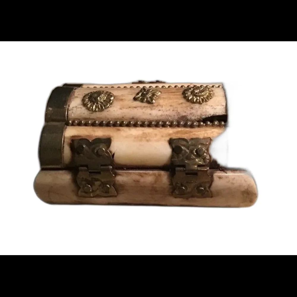 Camel Bone your consideration